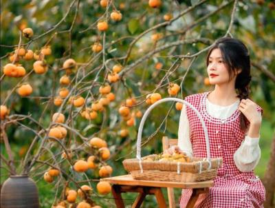 Top 5 Món Ngon Từ Hồng Chín Mộc Châu
